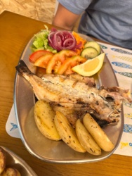 7accb489-dc15-433d-b085-4824b93bcdbd