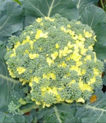 073b7dda-7b4b-4cfb-84b6-0ccd4c25d8d7