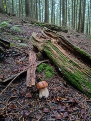 c6164421-924d-4cec-be73-5b3272809337