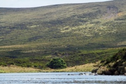 918ae0cf-6845-4316-82f9-f4206c73027c