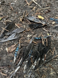 0ffea0d4-8bd0-424b-a6bc-314458a9e486