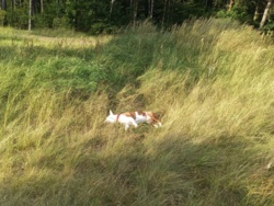 28d095d9-0098-4772-9622-6863e0ef9ea2