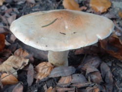 8c1791d7-8873-4605-97b6-fc66cf1d2157