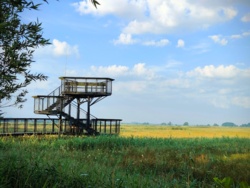 a7771467-7ee7-46d4-84d1-fd72b22ef9ac