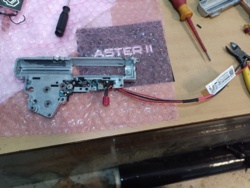 0229dcca-ee5d-47c0-9874-08d047cc7faf