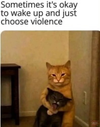 829c7889-81b1-490e-8b94-16c2ae43a5b6