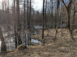 44b9e323-857c-4be3-b576-e5a2f14891ea