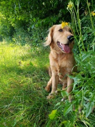 d21bd877-656d-4e4b-acab-56a407351d9a