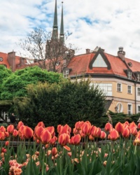 99d49a66-9f85-487d-98a2-b51ad8687c27