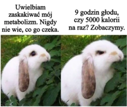 82222a85-e5f0-4fce-9887-085dc058b7f6