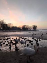 f4cb7fb1-047e-423c-b501-084900d094cc