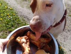 68ef6c7d-c176-47f3-a1a8-a3c6343a3d67