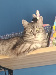 19d4e32e-fe11-4162-9bcb-060f63c07336