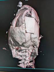 8956ee47-f1a2-45d7-9500-dc31aa8fedf8