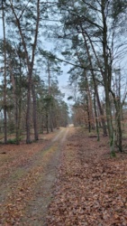 96afc29e-818d-49be-9b26-49e8382cd459