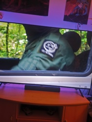 22d4c720-3c6e-49b2-b54e-f0ab132d22fa