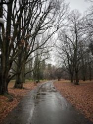 f03ff567-2a37-4ffa-bf71-c7d7c47fc366