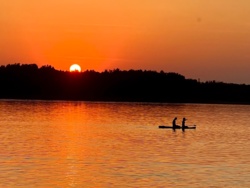 fe0ec69f-31a8-4bbc-8bd6-b42ba69cb006