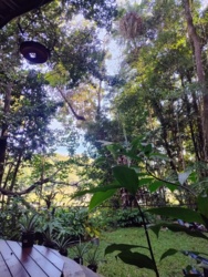 aee685f8-c49b-4f96-baca-f8e5864a4686