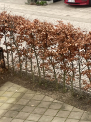 a87f135f-353c-4f91-9bb4-30aa8eaed2d4