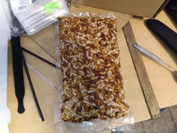 c5f4d710-749f-45f5-8c0c-9a3e44417956