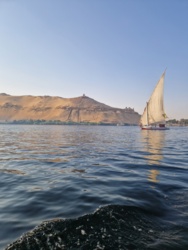 e6ef9d2b-1e46-4f23-851c-5140878e030c