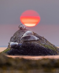 f94aa46b-c628-4cbd-a9ee-084dbd19bbf8