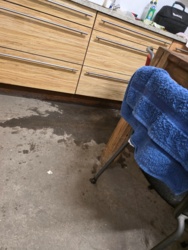 0b999611-2ff5-4ef3-8635-aaa8cff71d18