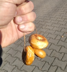 3212465a-b357-418f-93e5-82ad89bad7d3