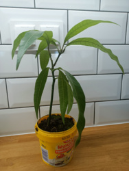 5bf517ec-fc35-452e-b9c6-0f8022058e3b