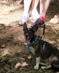 1adb3ee3-4c6f-4e9a-8321-3ad069a8e412