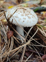 aebc840e-52f4-41a0-8ae0-520e17f8a525