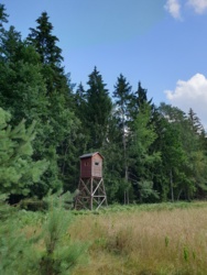 fbf49bea-fa2c-40b9-81dc-71f7e9034f0d