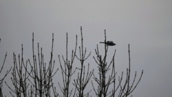 6fd800e4-b695-460a-81f9-c47e4d96bd10