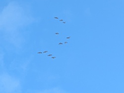 68f18045-afcf-478a-9f33-8abda2e65d59