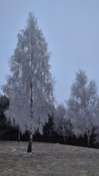 9dac1ee0-0ff1-452d-a59e-e75dd826aa9c