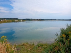 fd18f576-633f-4573-a1db-a03d9c38968f