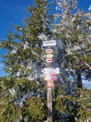 6548f9a9-d9c8-4fd8-a140-6392f025957a