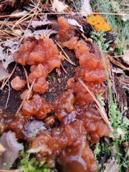 f6fe6197-5643-444e-8324-11c80b149300