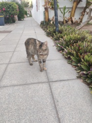 aa0e853d-a57a-4e82-9475-3c07c8f20c08