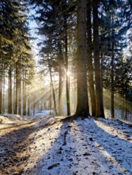 a56c0bce-b23d-4e79-ba00-cfa145de7d95