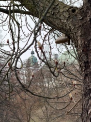 ee6c948d-4f35-4876-9d18-1080fe820b87