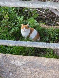 42d9c1b7-4056-4e0f-b68a-1a7e72bd4b2d