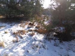 d873839f-42e2-4bd9-ba0f-09372cb49398