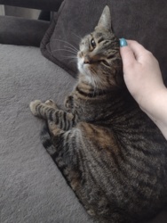 efc94822-4f3b-4c2b-a858-dd2f25f98a07