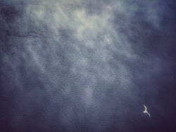 fc092c4e-2999-48c9-9fda-c5d32acce9c7