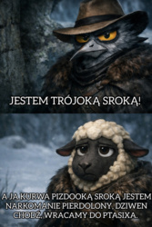 6e426c3c-9e9c-4666-b36c-16ebc73ac6b5