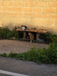 5f28dfe9-8a46-4459-af00-6fb80ed529d0