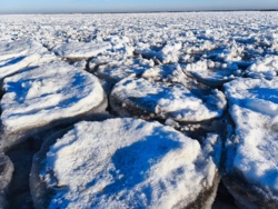 bbf4b74a-a460-4530-95ae-49990483de3f