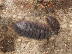 0a562b48-c8b5-4e89-a7c3-d4bfdaff4f46